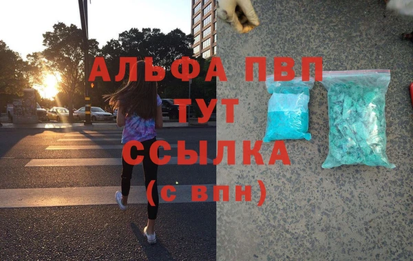 spice Богородицк